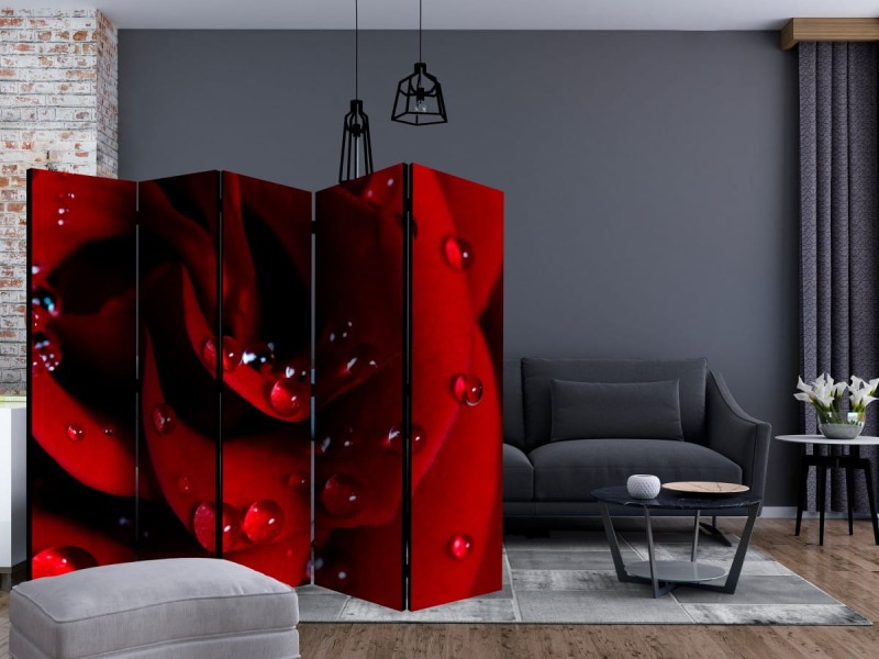 Parawan 5-częściowy - Czerwona róża i krople rosy II [Room Dividers]