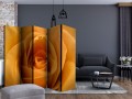 Parawan 5-częściowy - Żółta róża - symbol przyjaźni II [Room Dividers]