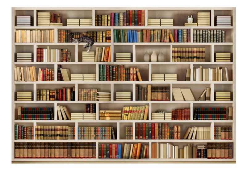 Fototapeta samoprzylepna - Domowa biblioteczka