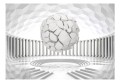 Fototapeta samoprzylepna - Ukryta geometria