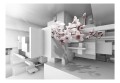 Fototapeta samoprzylepna - Orchidea 2.0