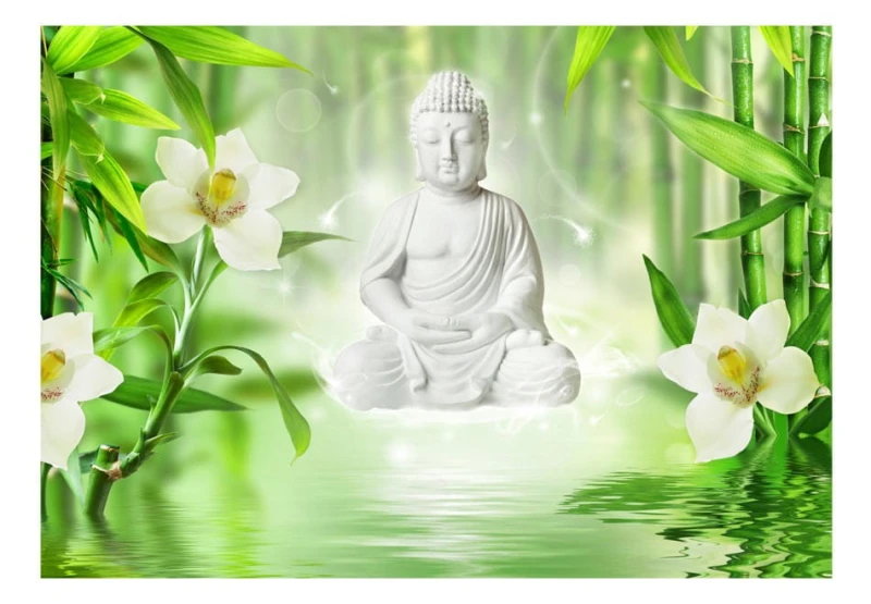 Fototapeta samoprzylepna - Budda i natura