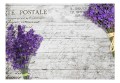 Fototapeta samoprzylepna - Lawendowa pocztówka