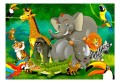 Fototapeta samoprzylepna - Kolorowe safari