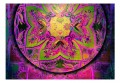 Fototapeta samoprzylepna - Mandala: Różowa ekspresja