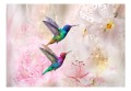 Fototapeta samoprzylepna - Kolorowe kolibry (różowy)