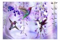 Fototapeta samoprzylepna - Latające kolibry (fioletowy)