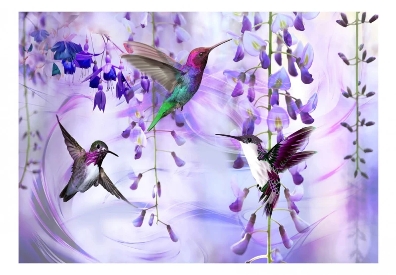 Fototapeta samoprzylepna - Latające kolibry (fioletowy)