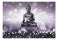 Fototapeta samoprzylepna - Ametystowy Budda