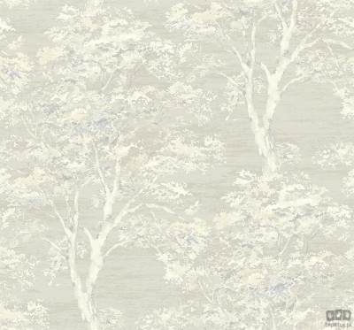 Suede SE31305 tapeta ścienna Wallquest