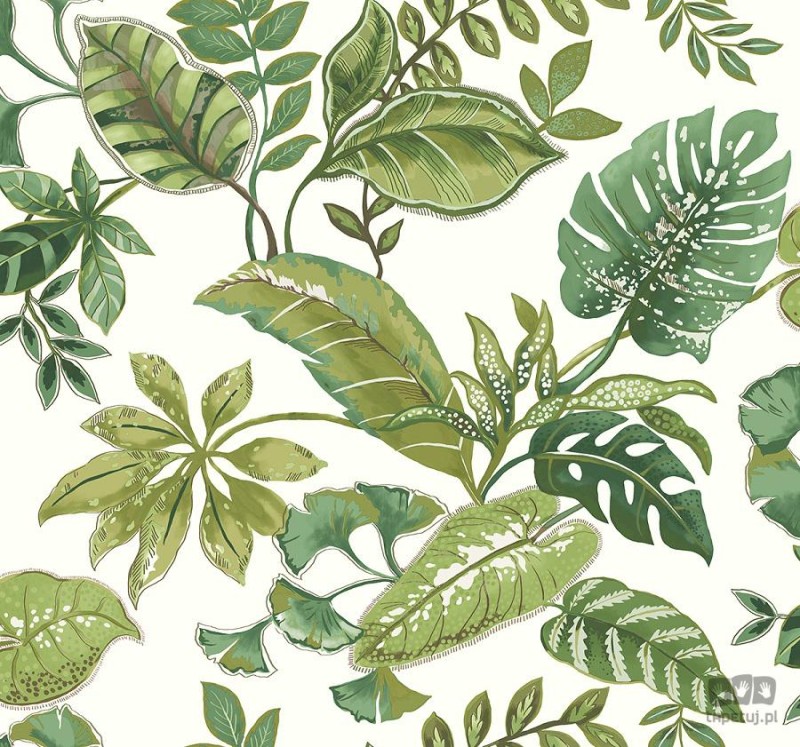 Woodlands JB21914 tapeta ścienna Wallquest