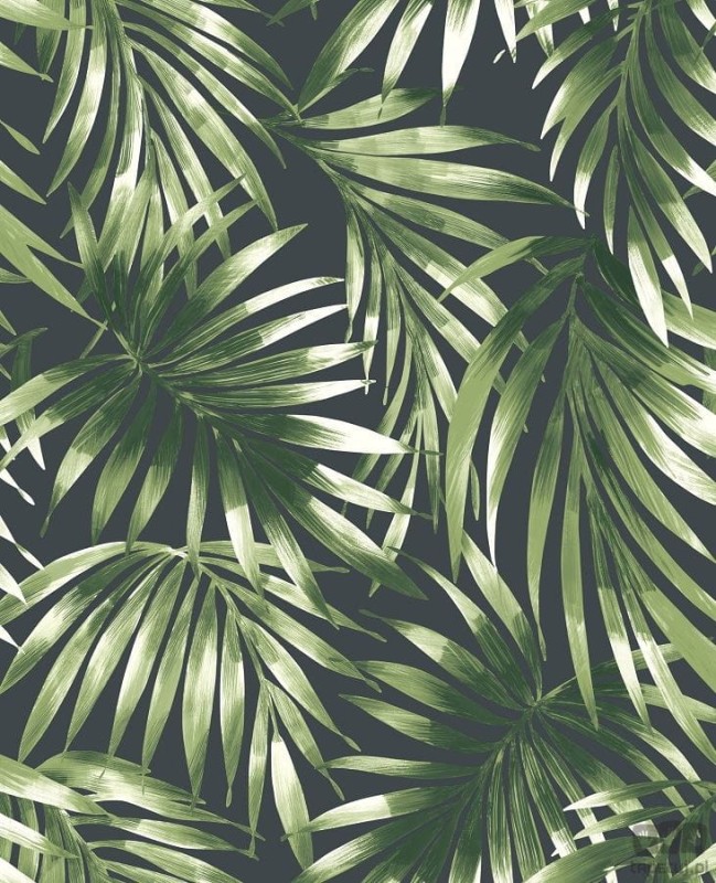 Tapeta z motywem egzotycznych liści palm