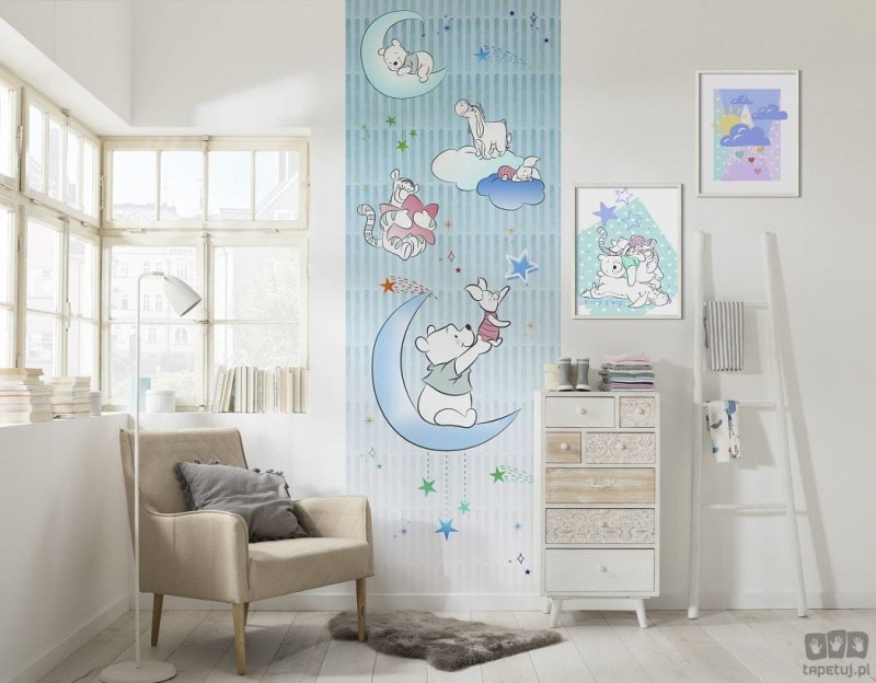 Fototapeta Winnie Pooh Piglet and Stars DX2-082