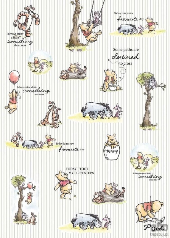 Fototapeta Winnie Pooh - Stripes DX4-001