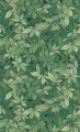 Fototapeta Edera Dark Green