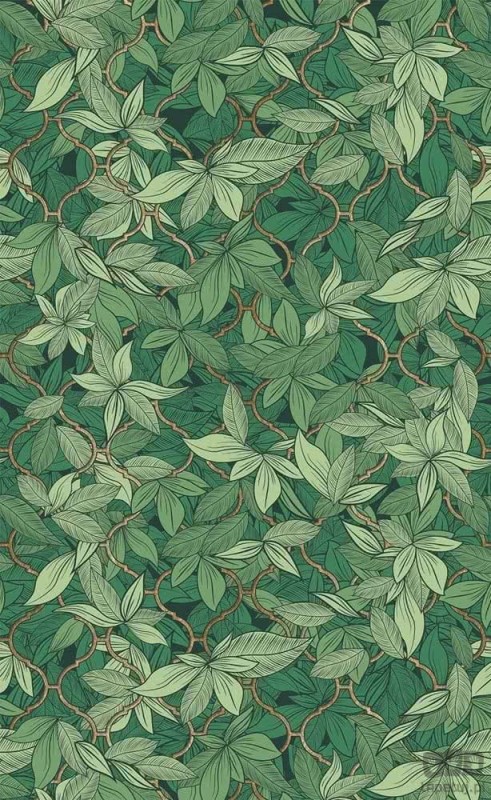 Fototapeta Edera Dark Green