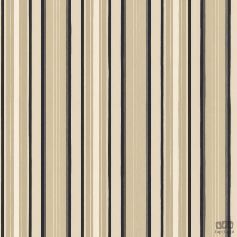 Stripes & Damasks 2 TS28106 tapeta ścienna Galerie