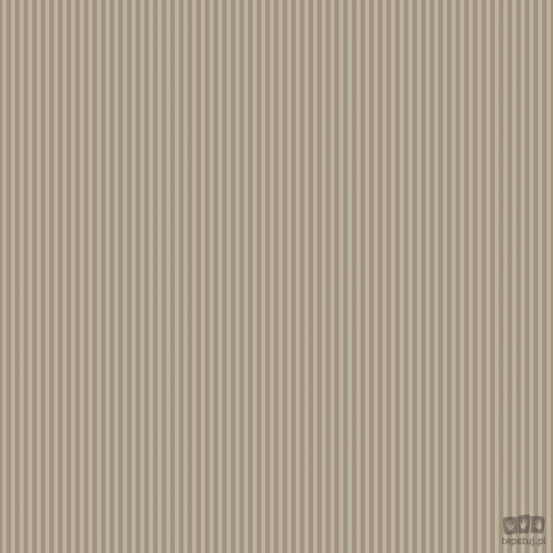 Stripes & Damasks 2 SD36132 tapeta ścienna Galerie