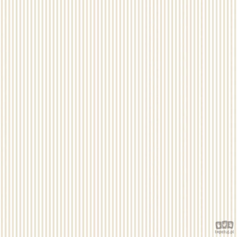Stripes & Damasks 2 SD36128 tapeta ścienna Galerie