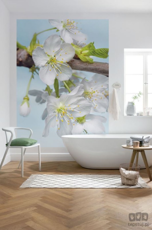 Fototapeta Blossom XXL2-033