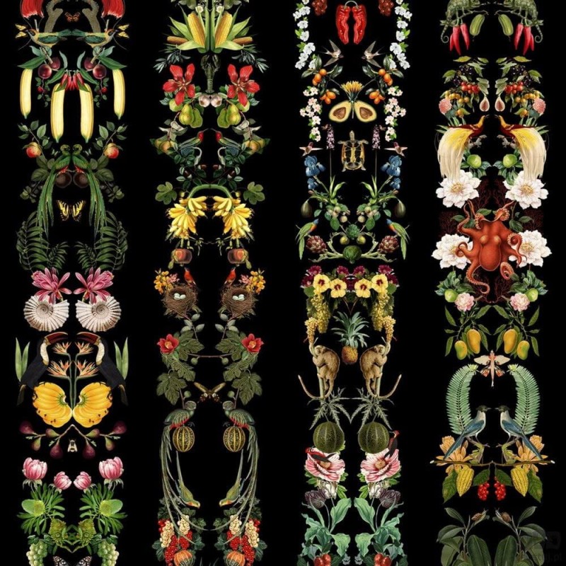 LA TAPICERA WA192073 fototapeta ścienna ICH Wallpaper