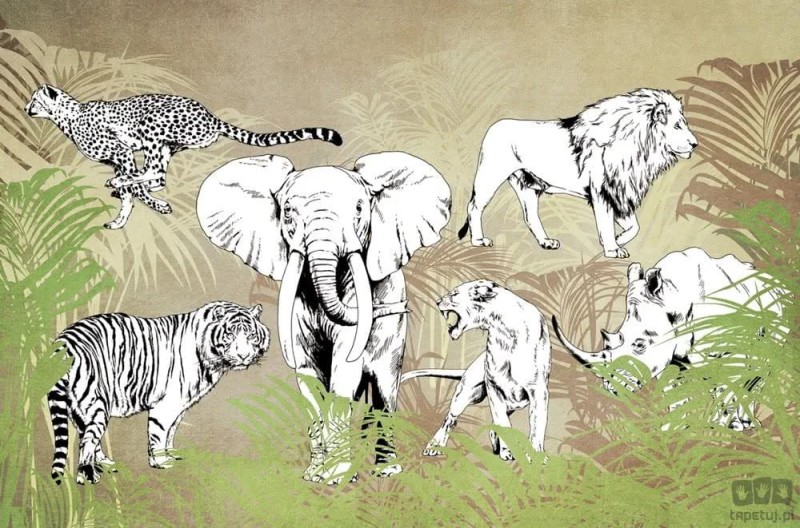 Fototapeta Wildlife V102-1
