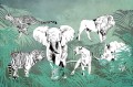 Fototapeta Wildlife V102-2