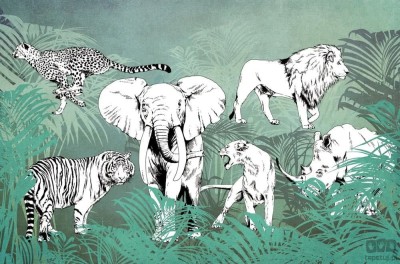 Fototapeta Wildlife V102-2
