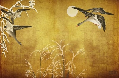 Fototapeta Oriental Ducks V103-2