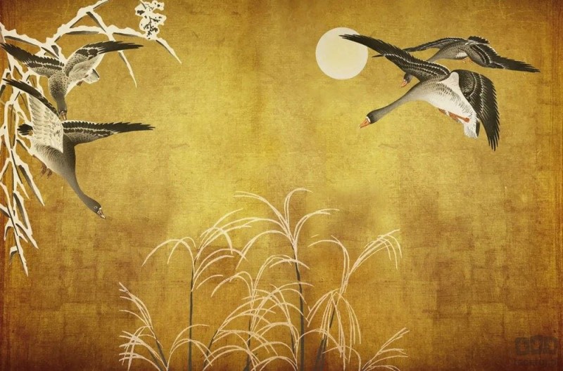 Fototapeta Oriental Ducks V103-2