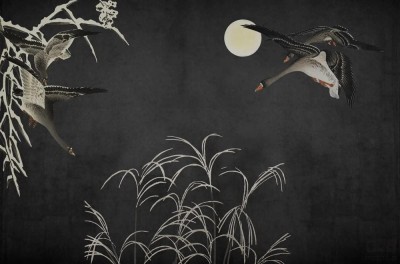 Fototapeta Oriental Ducks V103-3