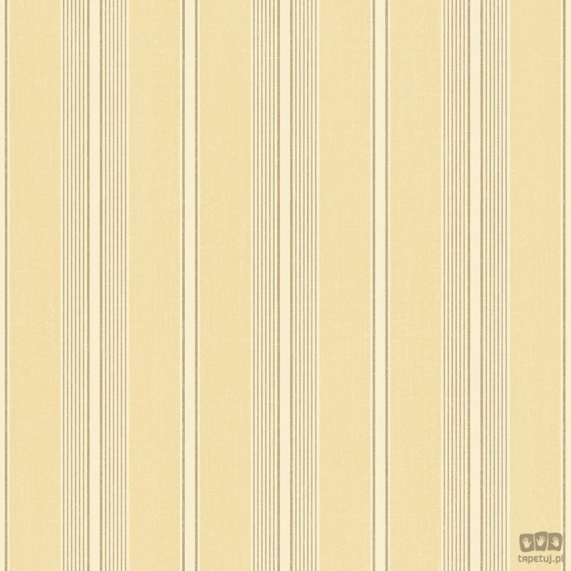 Stripes & Damasks 2 SD36115 tapeta ścienna Galerie
