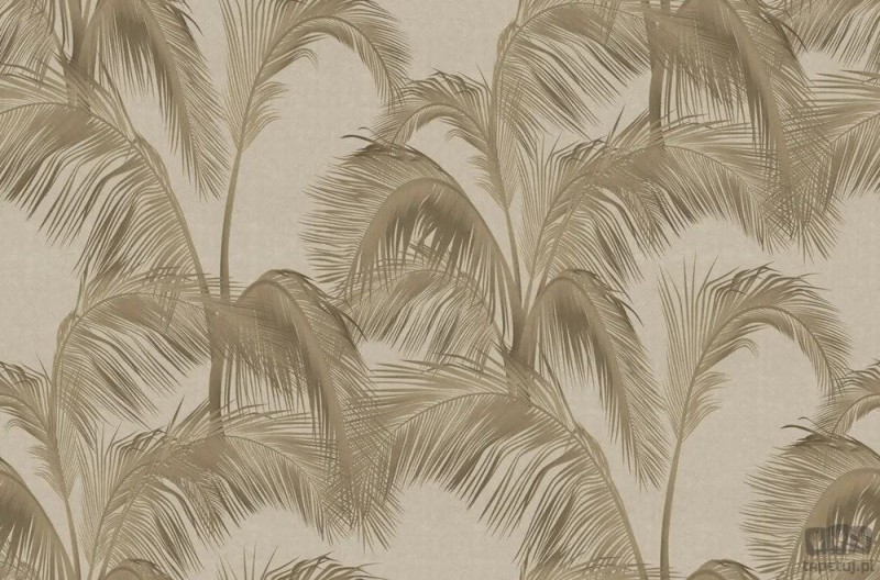 Fototapeta Palms Deco V110-1