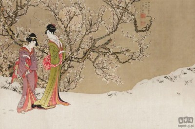 Fototapeta Sakura V118-1