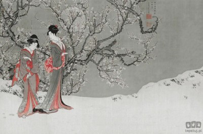 Fototapeta Sakura V118-2