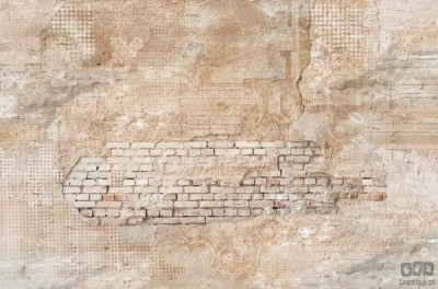 Fototapeta Barok Wall V126-1