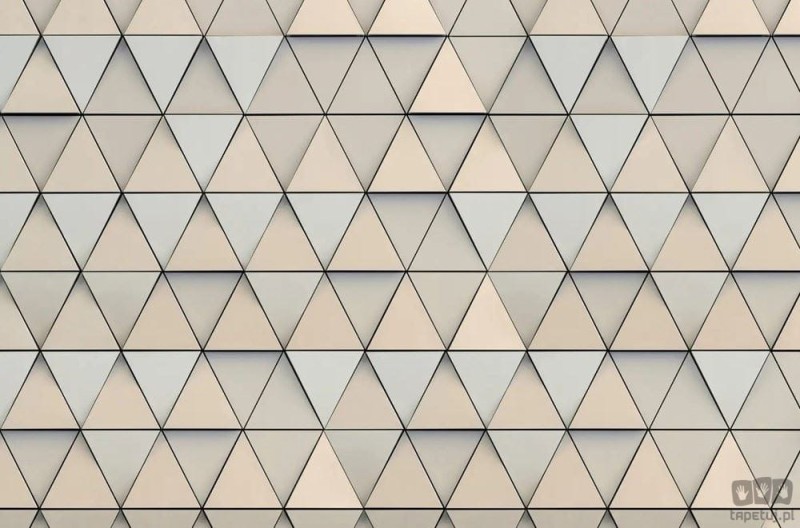 Fototapeta Triangular V138-1