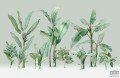 Fototapeta Jungle V111-3