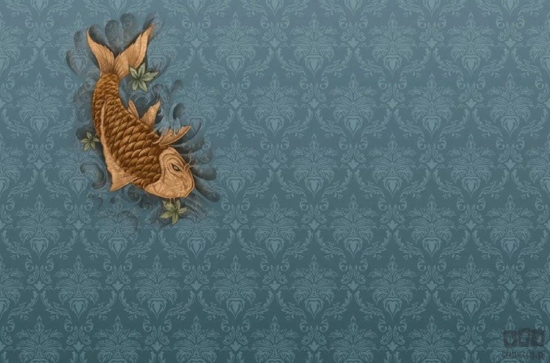 Fototapeta Koi Fish V119-2