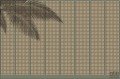 Fototapeta Summer Shadow V124-1