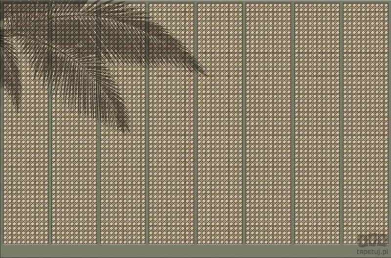 Fototapeta Summer Shadow V124-1
