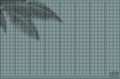 Fototapeta Summer Shadow V124-2