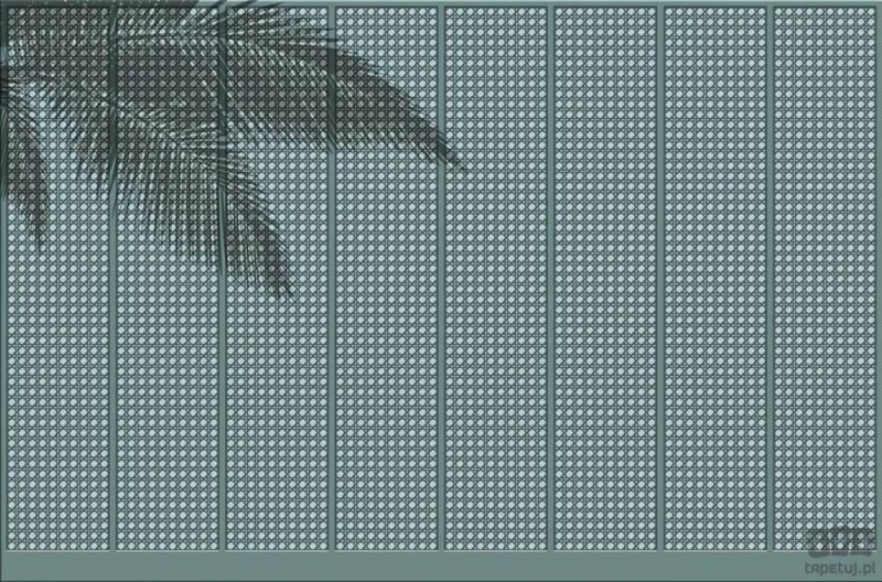 Fototapeta Summer Shadow V124-2