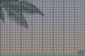 Fototapeta Summer Shadow V124-3