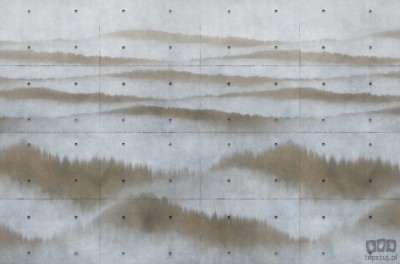 Fototapeta Concrete V127-2