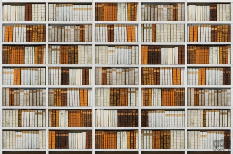 Fototapeta Library V135-1