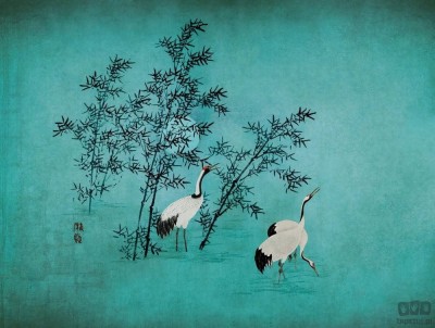 Fototapeta Cranes V116-2