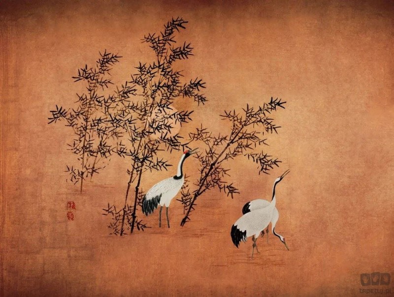 Fototapeta Cranes V116-3