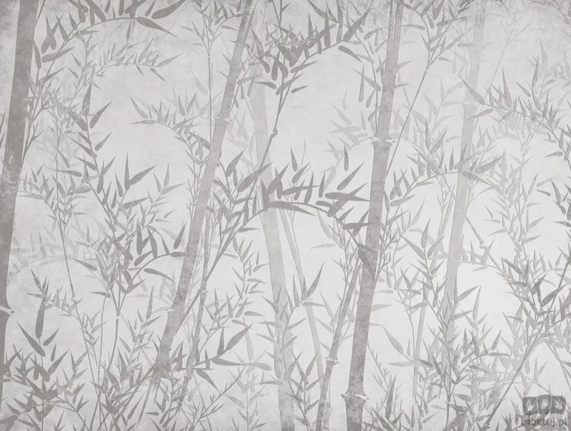 Fototapeta Bamboo V105-1