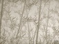 Fototapeta Bamboo V105-2